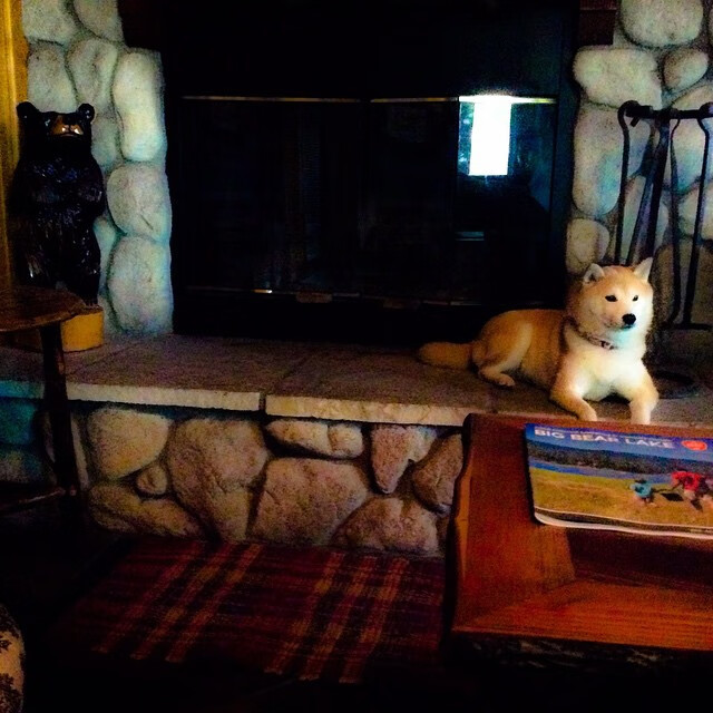 “西甲赛场：明星纷纷展露锋芒，比赛精彩纷呈”，西甲明星都有哪些