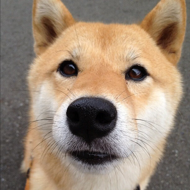 _少年组赛事：青少年的梦想舞台开启_，梦想少年2021