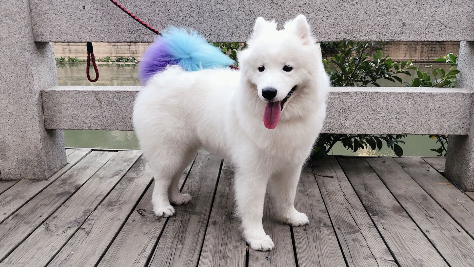 九游登录入口-“青春动感”青少年篮球舞蹈比赛在江苏盛大举行，篮球舞蹈表演