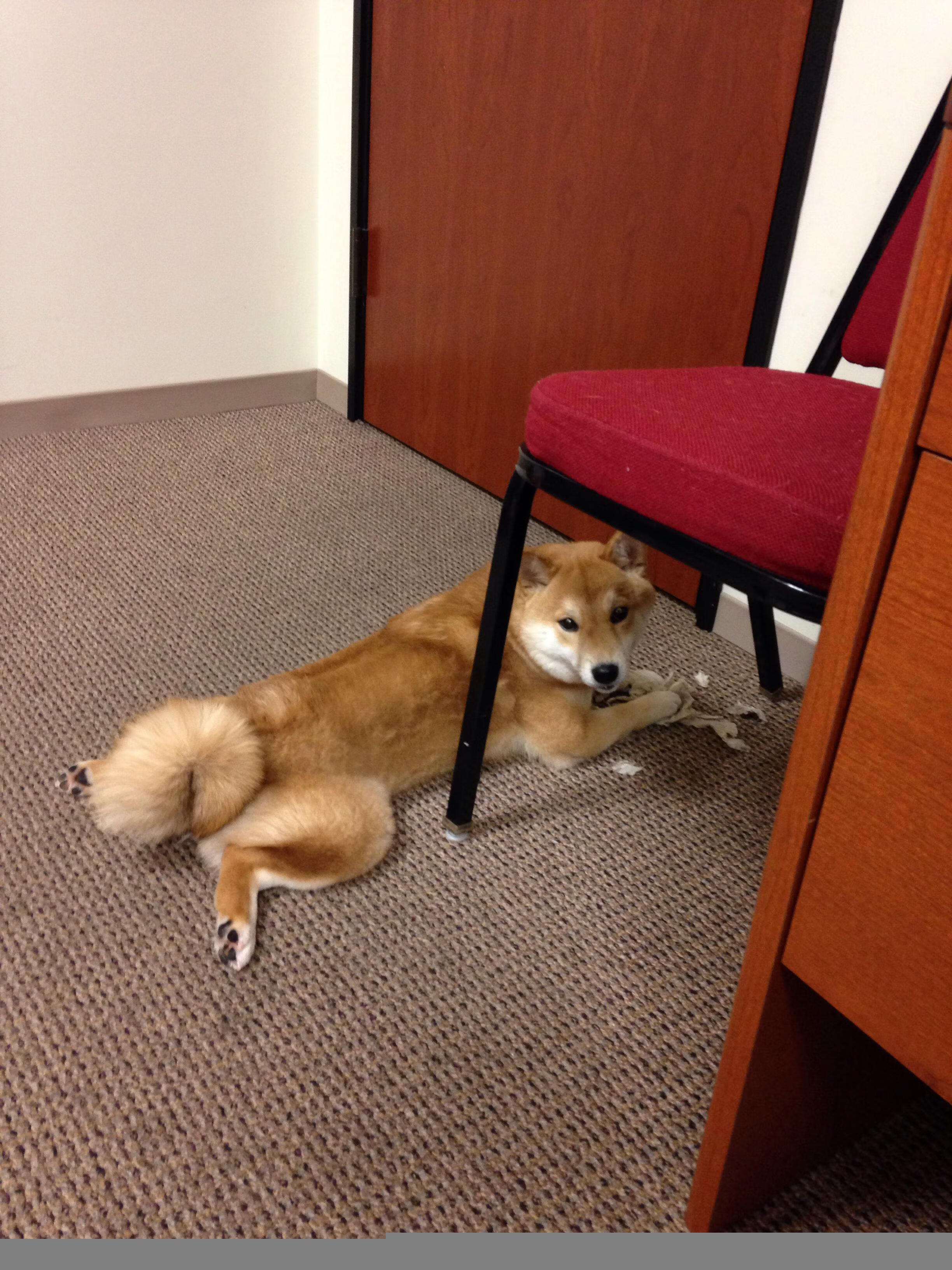 JIU YOU GAME-史诗级大战：欧冠冠军悬念逐渐揭晓，欧冠比赛冠军