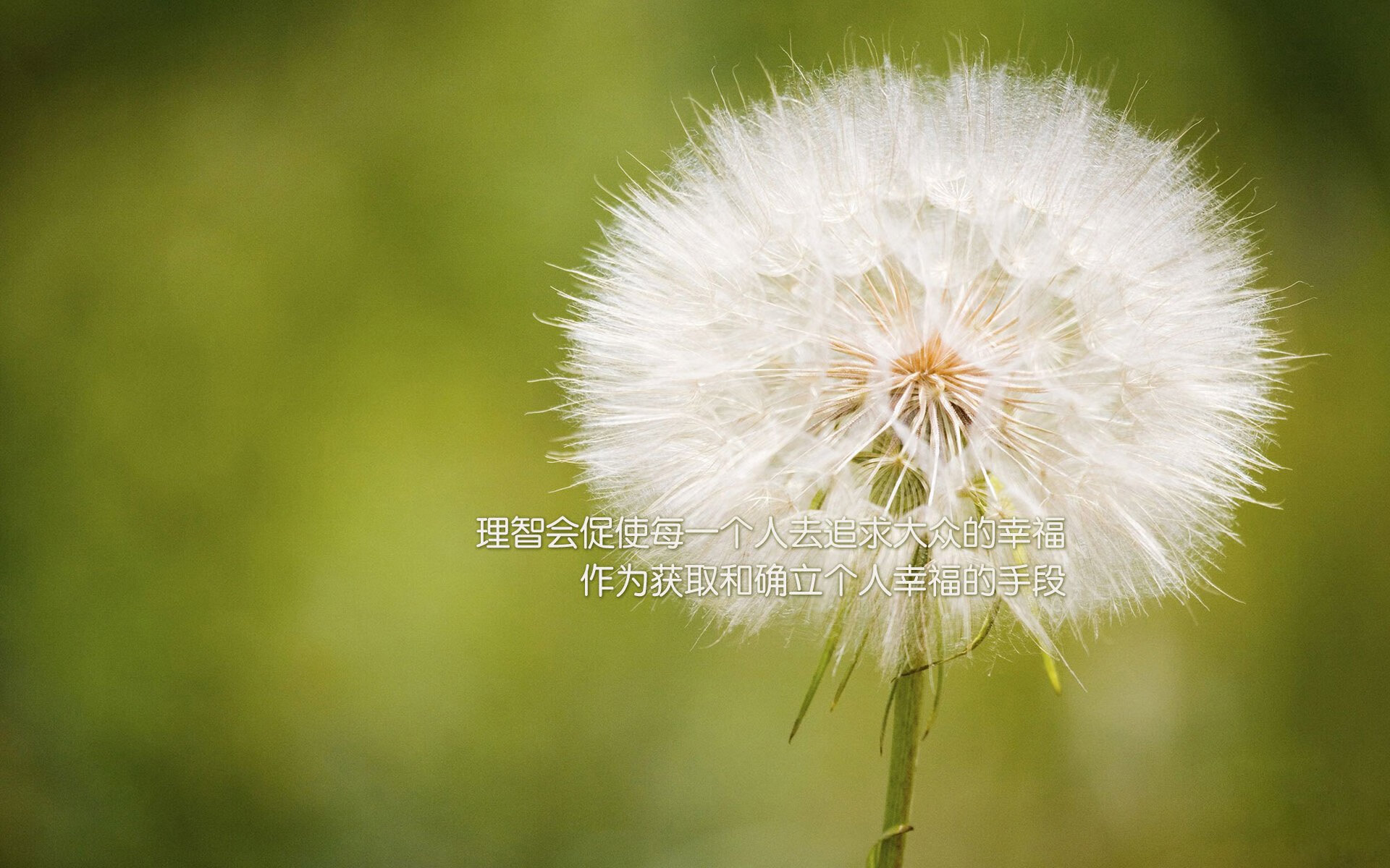 九游-国际夜空星光瑜伽节，身心灵的静谧体验，星空瑜伽馆怎么样